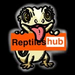 reptileshub__2.0 Instagram 頭像