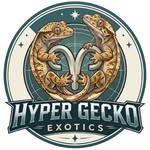 HyperGeckoV2 Instagram 頭像